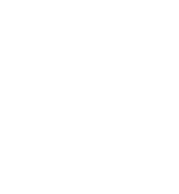 دکتر عبدالحسین ستوده نیا